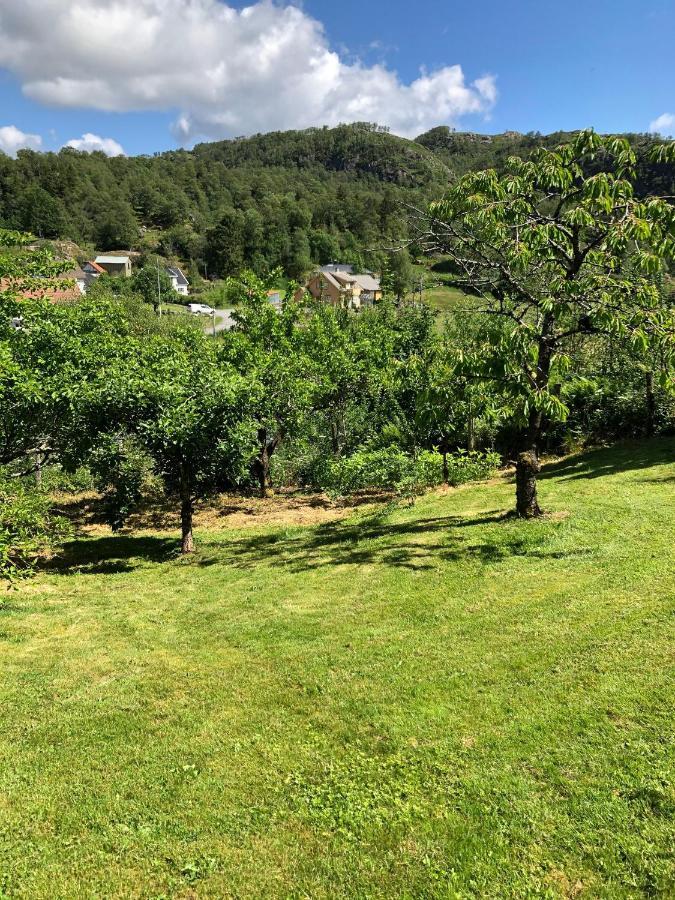 Sokndal - Cozy Vacation Home In Peaceful Surroundings Algard  Extérieur photo